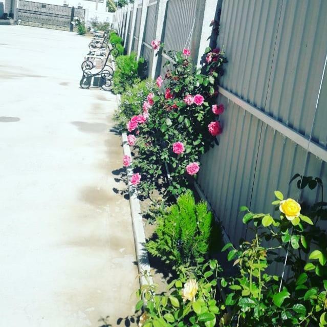 Sariya Hotel Kheivani エクステリア 写真